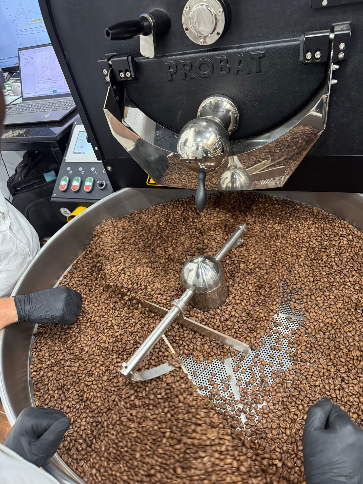 Harenna Wholesale – Lekempte G4 Roasted Coffee