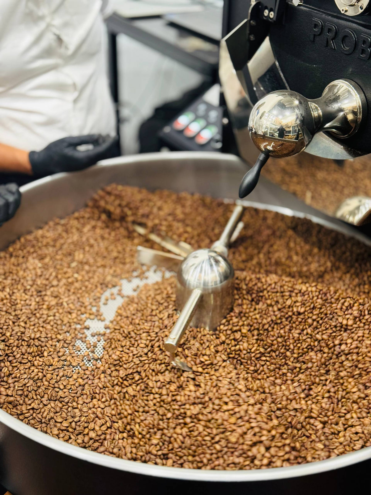 Harenna Wholesale – Guji G4 Roasted Coffee